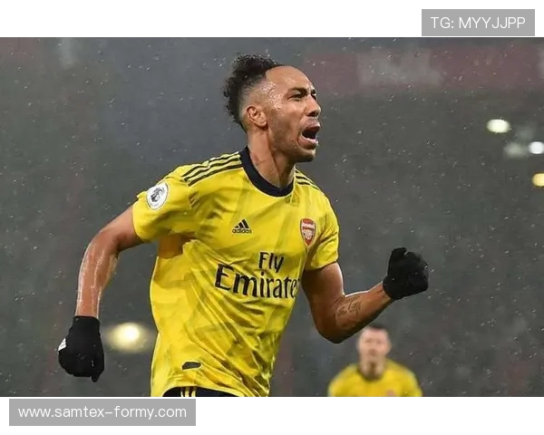 卫报:新财务规则实施后,英超球队无法以出售酒店或女队钻空子